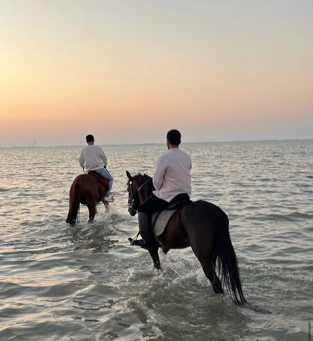 جولة خيل جماعية باتجاه البحر