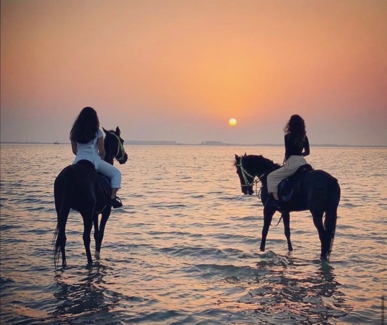 لحظات مشتركة على الخيل أمام البحر