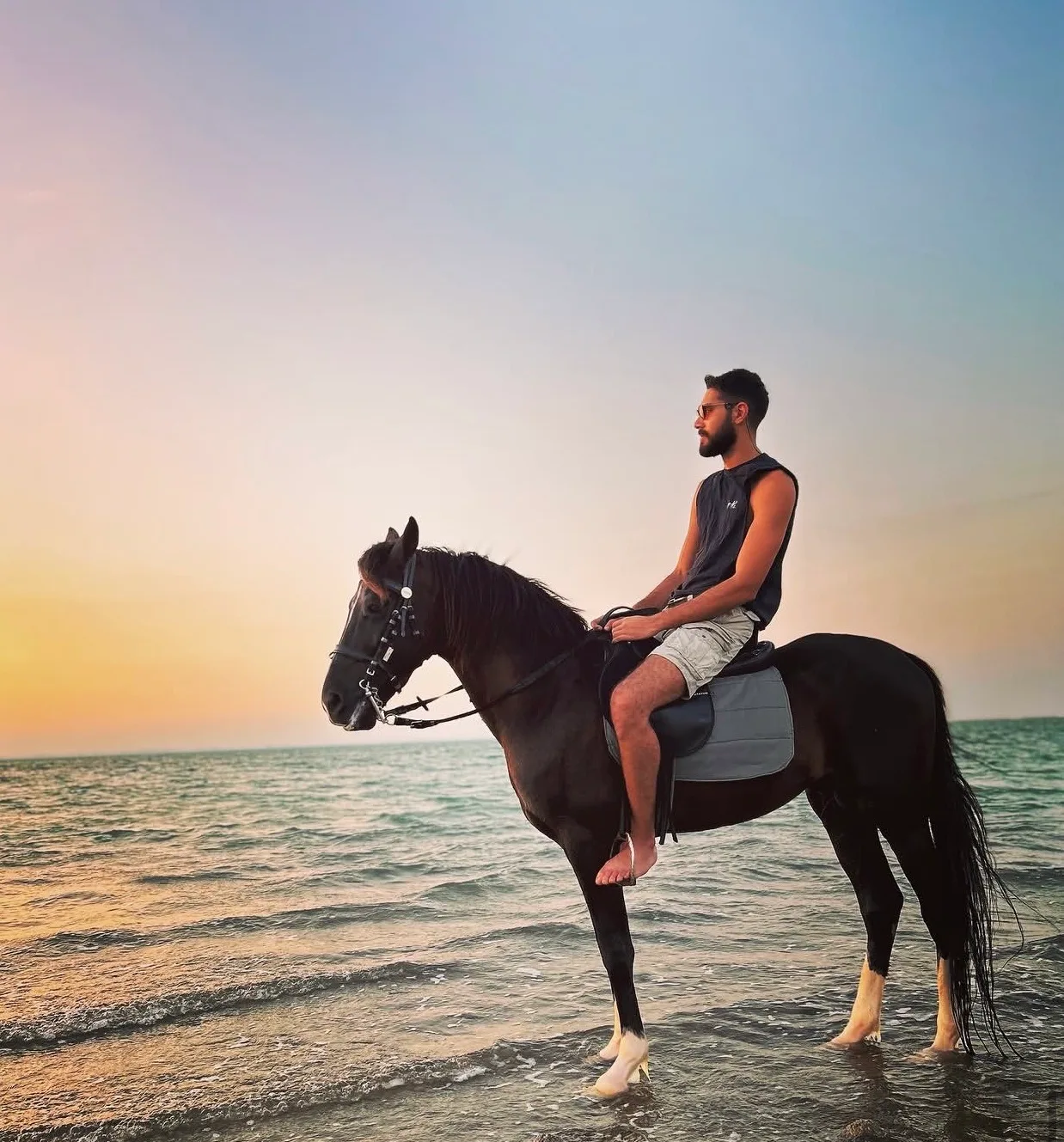 فارس على حصان عند شاطئ هورس بيتش
